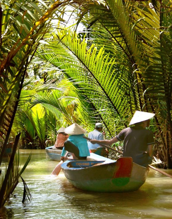 Experience a serene riverboat journey through lush tropical palms in Ho Chi Minh City, Vietnam.